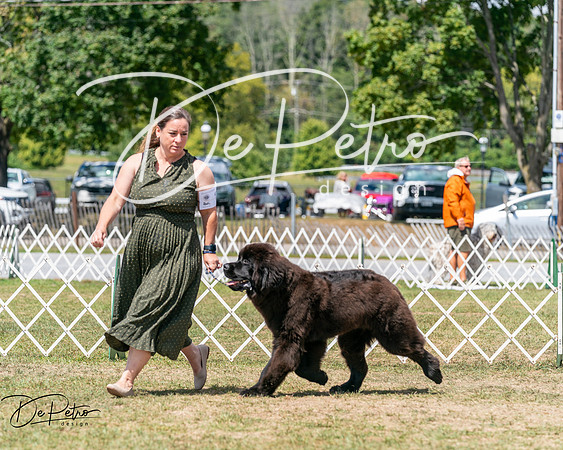 20250830-DSC02658