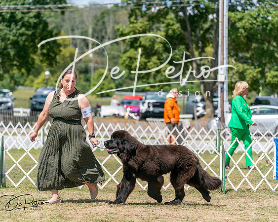 20250830-DSC02655
