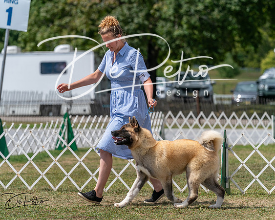 20250830-DSC03034