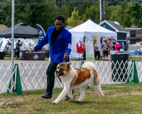 20250830-DSC03101