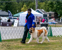 20250830-DSC03096
