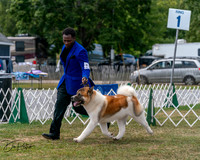 20250830-DSC03082