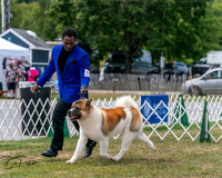 20250830-DSC03087