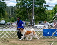 20250830-DSC03129