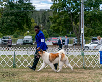 20250830-DSC03134