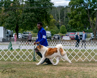 20250830-DSC03139