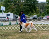 20250830-DSC03144