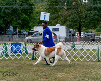 20250830-DSC03154