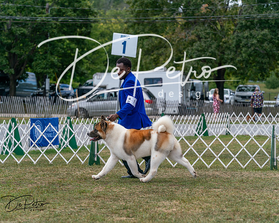 20250830-DSC03154