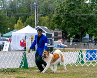 20250830-DSC03155