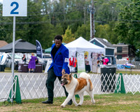 20250830-DSC03165