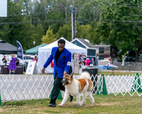 20250830-DSC03160