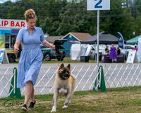 20250830-DSC03192
