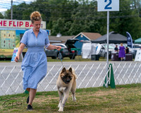20250830-DSC03196