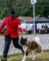 20250830-DSC03209