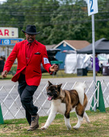 20250830-DSC03212