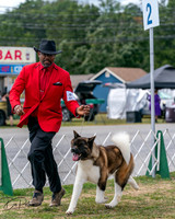 20250830-DSC03213