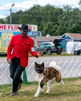 20250830-DSC03218