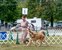 20250830-DSC03502