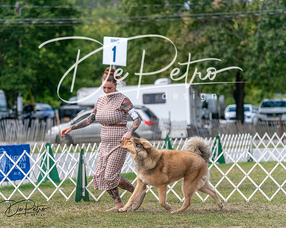 20250830-DSC03502