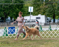 20250830-DSC03507