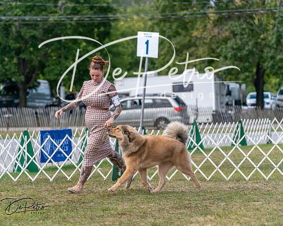 20250830-DSC03507