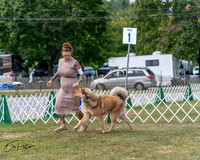 20250830-DSC03512