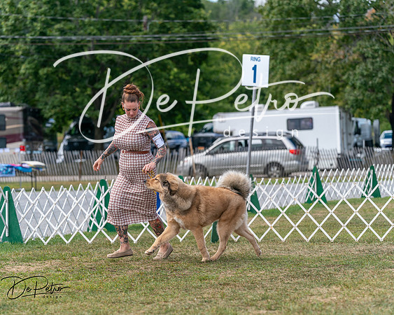 20250830-DSC03512