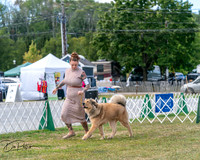 20250830-DSC03513