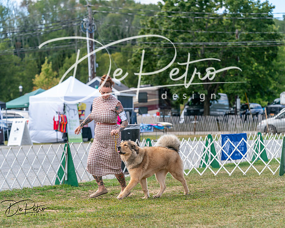 20250830-DSC03513