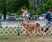 20250830-DSC03532