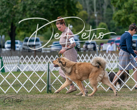 20250830-DSC03532