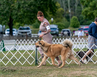 20250830-DSC03533