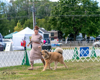 20250830-DSC03514