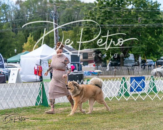 20250830-DSC03514