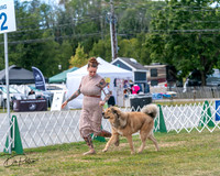 20250830-DSC03518