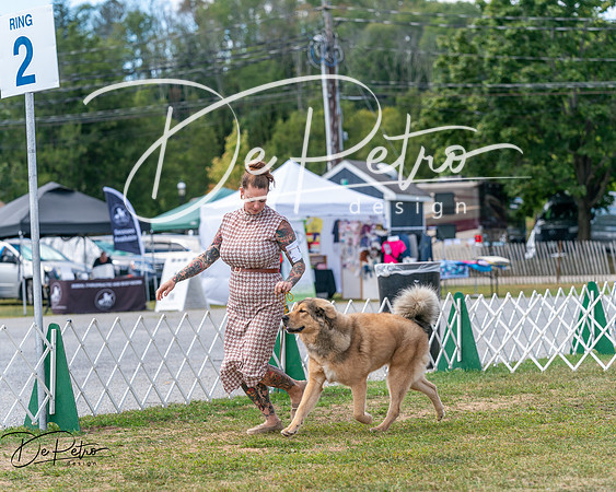 20250830-DSC03519