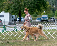 20250830-DSC03538