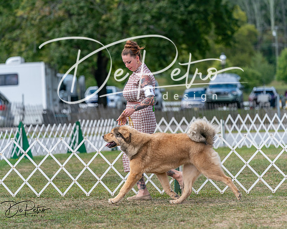 20250830-DSC03538