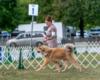 20250830-DSC03548