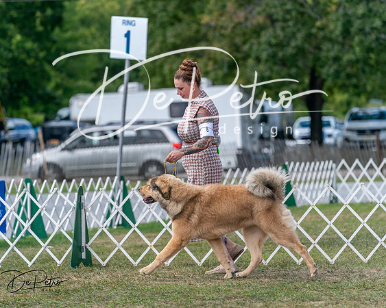 20250830-DSC03548