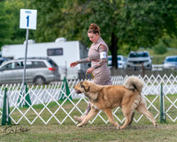 20250830-DSC03543