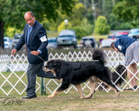 20250830-DSC03549