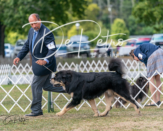 20250830-DSC03549