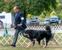 20250830-DSC03555