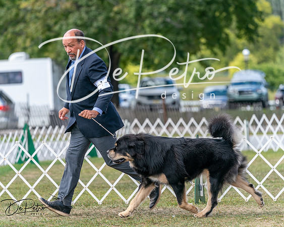 20250830-DSC03555