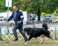 20250830-DSC03560