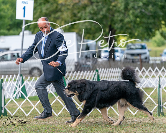 20250830-DSC03560