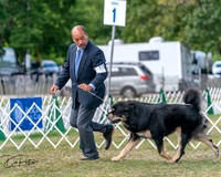20250830-DSC03565