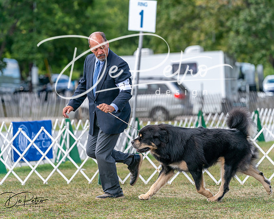 20250830-DSC03565